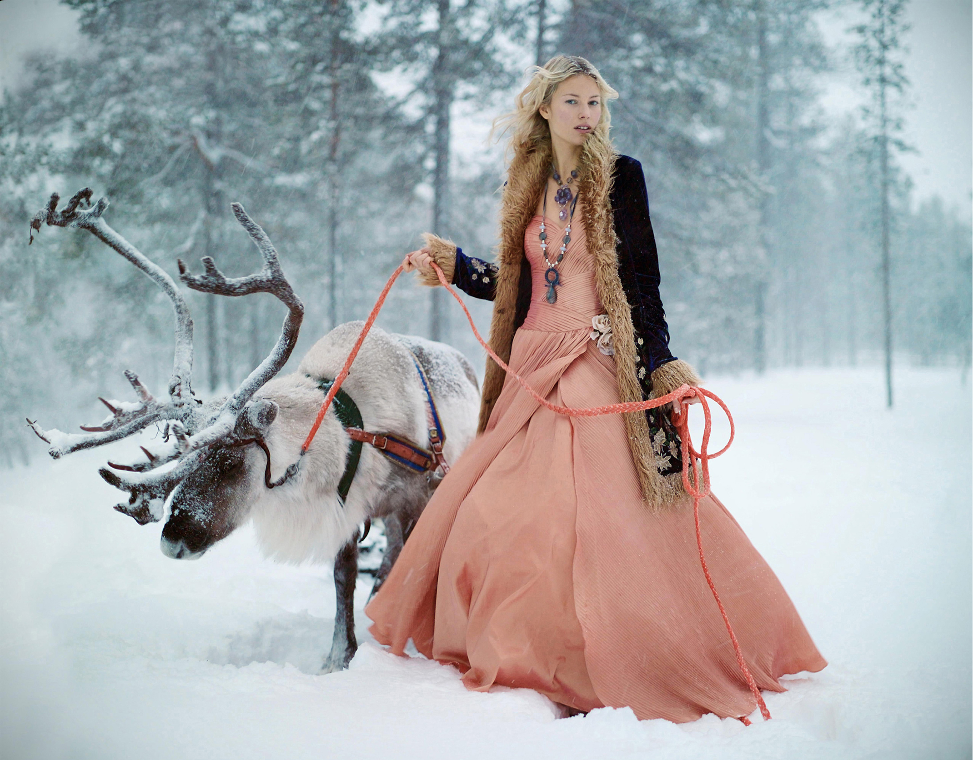 blond Finnish model in he snow Lapland wearing white long bridal ball dress and winter fur coat with forest in the background